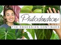 Sorry if you buy more plants after this  philodendron collection tour growth updates  fun facts 