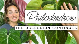 Sorry If You Buy More Plants After This  PHILODENDRON Collection Tour, Growth Updates + FUN FACTS