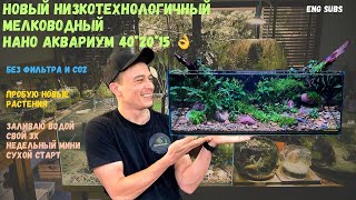 МЕЛКОВОДНЫЙ НИЗКОТЕХНОЛОГИЧНЫЙ НАНО 40*20*15 АКВАРИУМ | SHALLOW LOW-TECH NANO 40*20*15 AQUARIUM