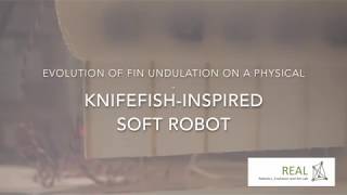Evolution of Fin Undulation on a Physical Knifefish-inspired Soft Robot (GECCO’18) screenshot 4