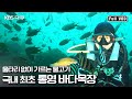 새로운 바다 경작법으로 꿈꾸는 미래 바다의 모습 | “10년의 도전 바다목장” (KBS 081026 방송)