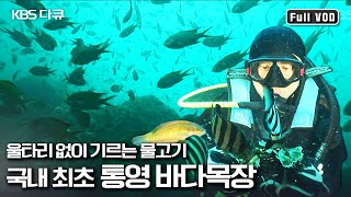 새로운 바다 경작법으로 꿈꾸는 미래 바다의 모습 | “10년의 도전 바다목장” (KBS 081026 방송)