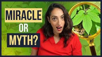 Is Panax Ginseng the Miracle Sex Pill You Want?! | Urologist Explains