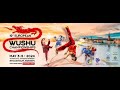 May 5  sanda  platform 19th european wushu championships