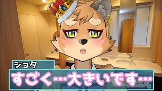 こんなサムネですがお絵かき配信です 夏の絵描くぞ【#furry #ケモノ系vtuber 】