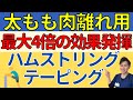 【肉離れテーピング】最大4倍の効果を出すポイントも紹介。太もも裏の肉離れ専用テーピング紹介【ハムストリングス肉離れテーピング】