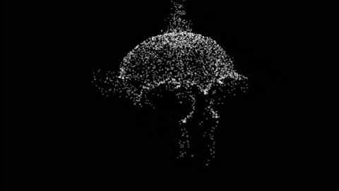 shape of things to come