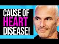 This Is Terrifying: The True Cause of Heart Disease | Dr. Jack Wolfson on Health Theory
