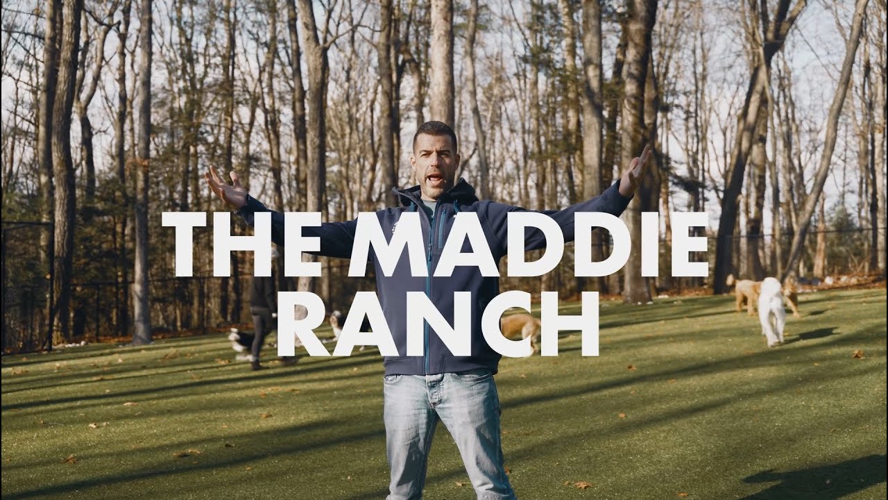 Welcome to the Maddie Ranch - Private Dog Psychology-Based Training ...