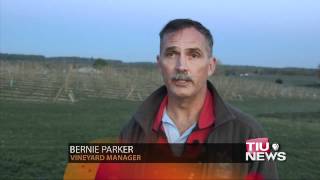 WTIU Newsbreak, April 11, 2012