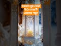সকালে ঘুম থেকে উঠে দোয়াটি একবার পড়ুন