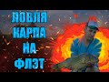 Такого клёва карпа я не ожидал | карп сошёл с ума | Закрытие сезона