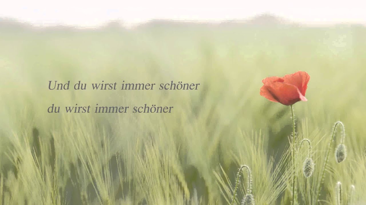 Das Sommerlied - Wolfgang Fischer