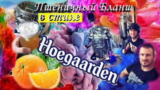 Пшеничное пиво (бланш) в стиле Hoegaarden