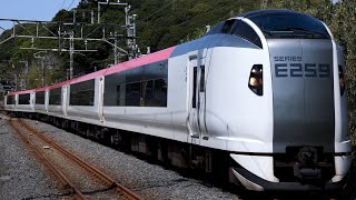 【2024年3月ダイヤ改正で特急しおさいデビュー】E259系 クラNe002編成 特急しおさい1号 銚子行 猿田通過【4K】