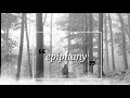 Taylor Swift - epiphany [lyrics video]