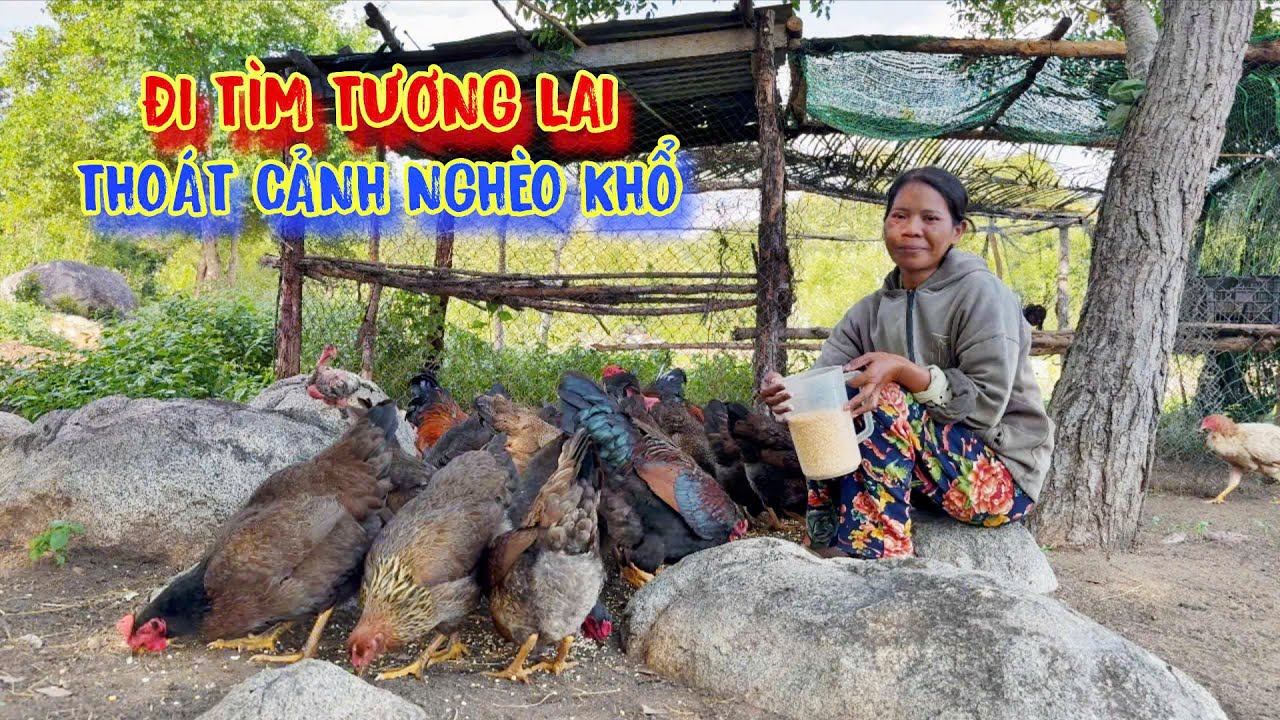 TƯƠNG LAI mịt mù hơn nửa đời người, làm việc vất vả nhưng vẫn THIẾU ĂN - tập 1439