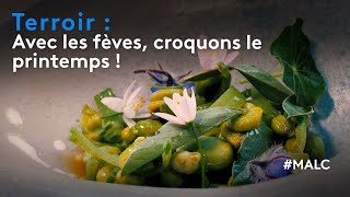 Terroir : avec les fèves, croquons le printemps !