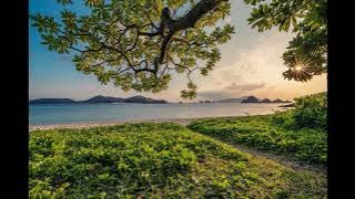 Curadora   Casa Rosa