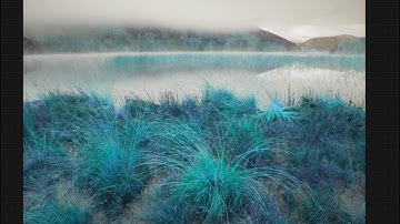 H Photo - Procreate Hue, Saturation and Brightness