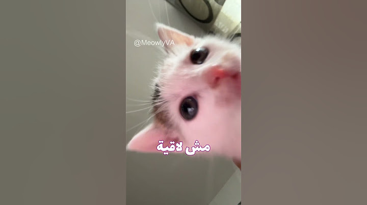 لما أتساب لوحدي في البيت #اكسبلور #funny #catvideos #catmeme