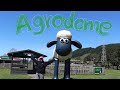 【Moe】I went to the Agrodome!🐏アグロドームに行ってきました！ #2