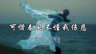 范贵宾 - 可惜春风不懂我伤悲『可惜春风不懂我伤悲 像你不懂我心碎。』『动态歌词MV』#推荐好听的歌曲