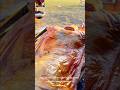 Kambing Bakar utuh Ala Mongolia #shorts #mongolia #food