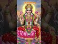 Sidhhi Laxmi Stotram #laxmi #mantra #stotram #laxmipuja #laxmimantra #devotional #god #short #video