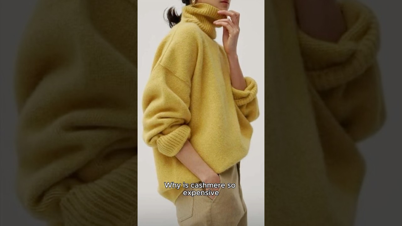 Why is cashmere so expensive — and why do we still want it? 