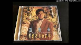 劉德華-痴情歲月