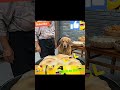 Surprise #funny #comedy #jokes #prank #shorts #reels