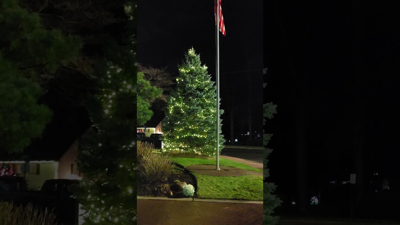 2020 Christmas Tree Lighting YouTube