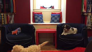 Lola In Juneβs Talk Show E.2 S.1