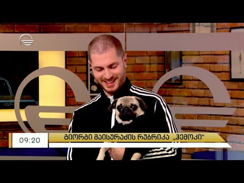 გიორგი მაისურაძის რუბრიკა Hammock - ცხოველთა დამცველები