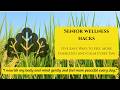 Senior Wellness Hacks | 5 Easy Ways to Feel More Energized and Calm Every Day
