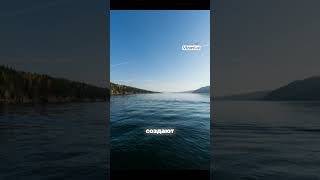 Красноярское море — рукотворная жемчужина Сибири #новости #семьявместе #юмор