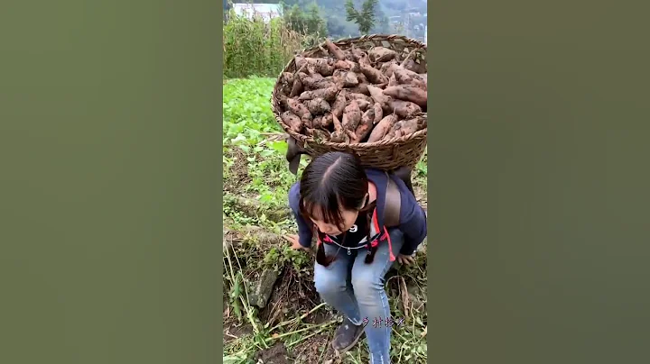 農村姑娘，忙忙碌碌，就這樣一天天的生活着，你會發現生活不會因為我們是女人而給我們讓步！#農村#農村生活#幸福鄉村豐收季 - 天天要聞