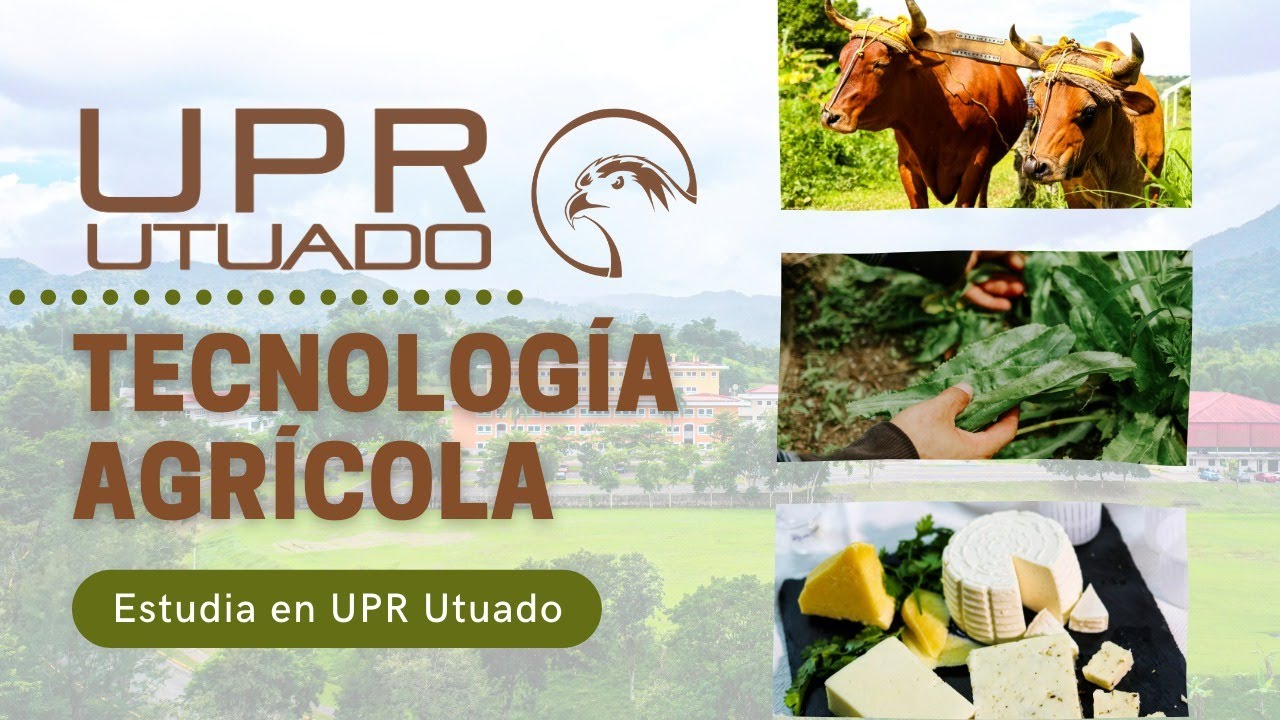 Tecnología Agrícola ¿Qué puedes estudiar con nosotros? - 𝙐𝙣𝙞𝙫𝙚𝙧𝙨𝙞𝙙𝙖𝙙 𝙙𝙚 𝙋𝙪𝙚𝙧𝙩𝙤 𝙍𝙞𝙘𝙤 𝙚𝙣 𝙐𝙩𝙪𝙖𝙙𝙤