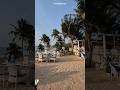 Olive Bar &amp; Kitchen Goa #cafe #vagator #goa #northgoa #vagatorbeach