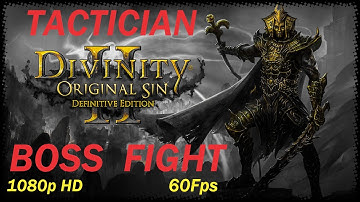 Divinity: Original Sin 2 Definitive Edition - Saving Paladin Cork - Tactician Difficulty