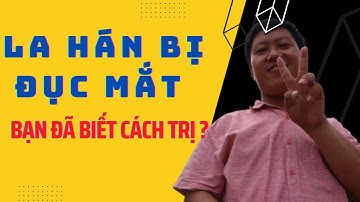 Cách trị đục mắt cho Cá La Hán #Aquamaxv #Tribenhcalahan