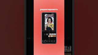 Динамичные субтитры? Подпишись#видео #полезно #видеоуроки #девушка #бесплатно #субтитры #популярное