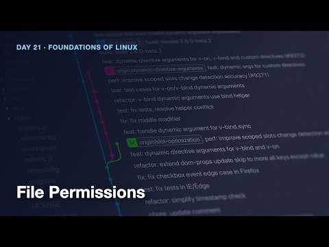 File Permissions in Linux - Day 21 of Tutorial