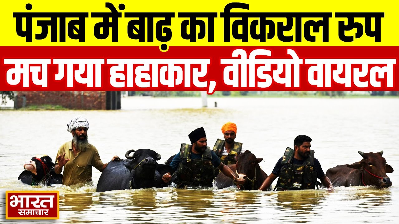 Flood in Punjab: बाढ़ से पंजाब से मचा हाहाकार, आखिर क्या है वजह? | Breaking News