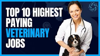 Top 10 Highest Paying Veterinary Jobs
