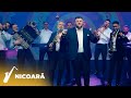 Petrica Brundeanu ❌ Armin Nicoara si Petrica Nicoara - Viață prin străini m-ai dus [NOU 2023]