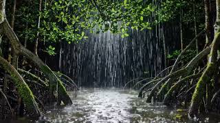 No Ads - ASMR Jungle Rain Beneath Mangrove Roots – Deep Sleep Ambience for Relaxation screenshot 5