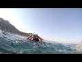 Snorkeling Abo Galoum 7 2016 ابوجلوم 