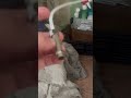 Фильтр для воды поломка #авария #потоп #брак